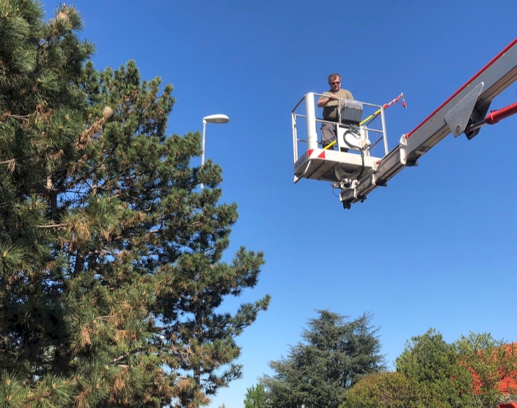 Entretien des espaces verts