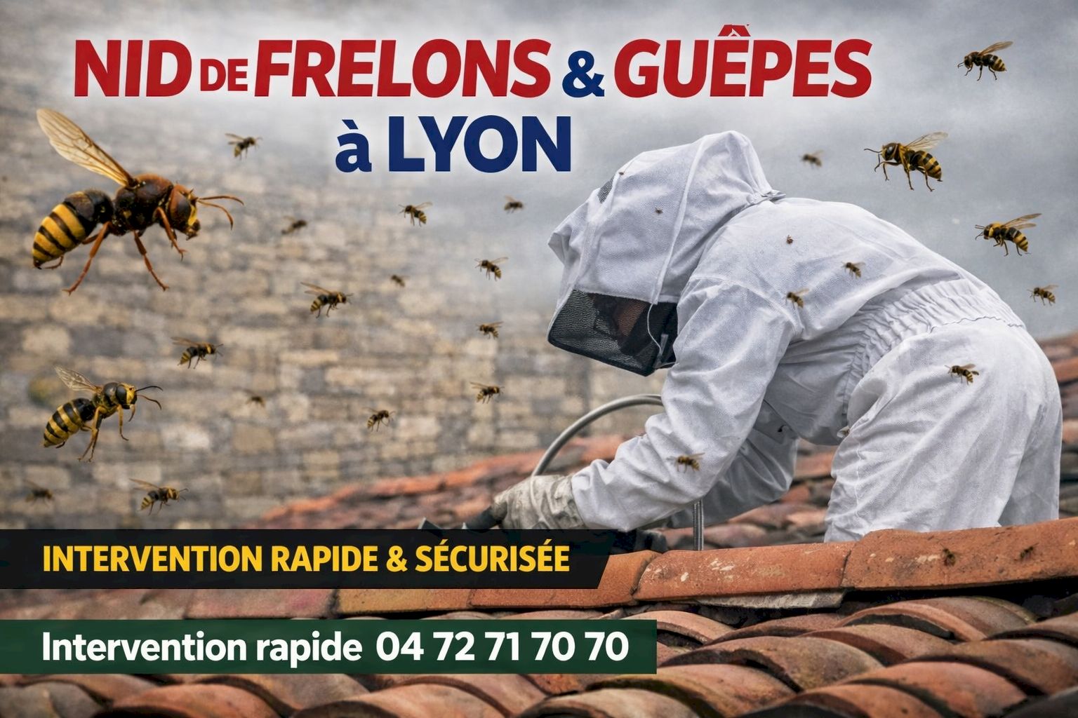 Enlèvement nid de frelons guêpes par professionnel sur Lyon