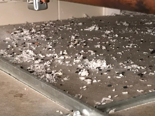 traces de souris dans faux plafonds