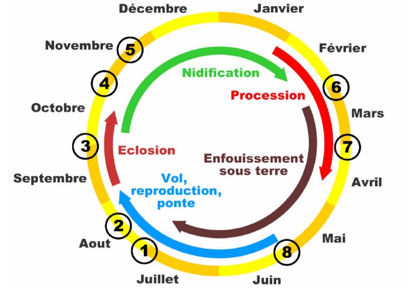 traitement biologiques et respectueux de l’environnement
