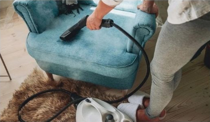 Le traitement à la vapeur contre les punaises de lit