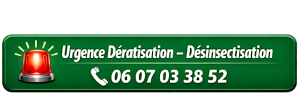 urgence dératisation désinsectisation